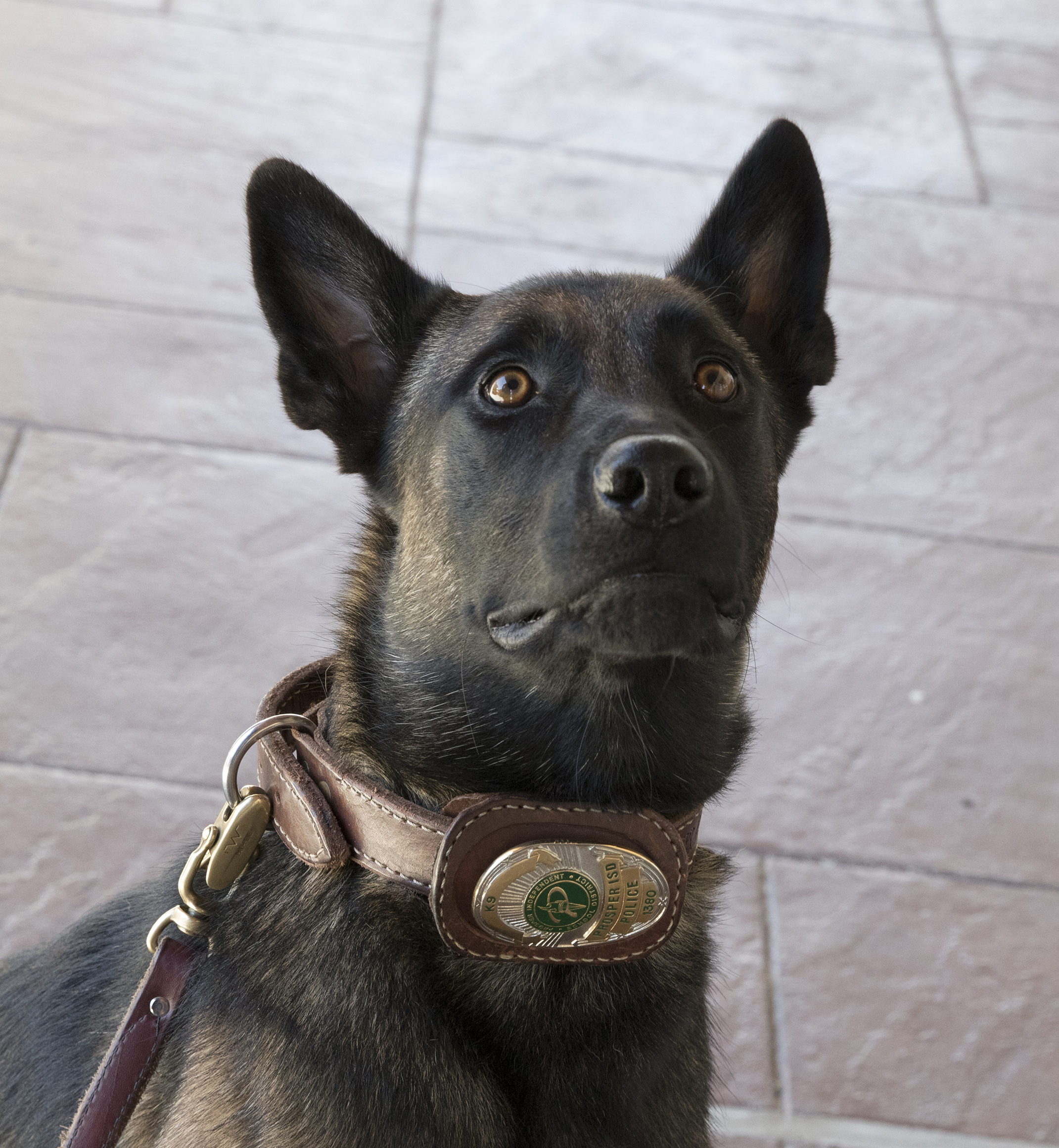 1505842287___9776200