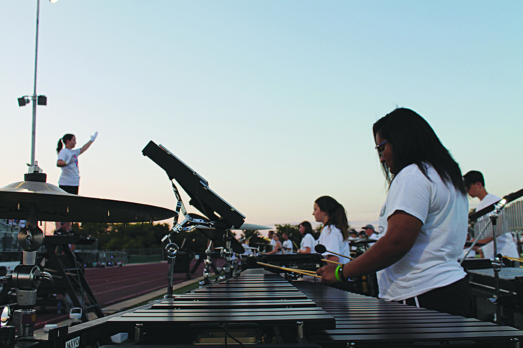 percussion copy
